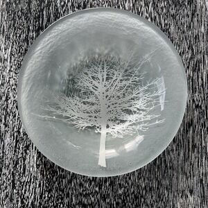 Annieglass Fused Glass Trinket‎ Dish/Bowl Frosted/ Silver Tree Signed & Numbered